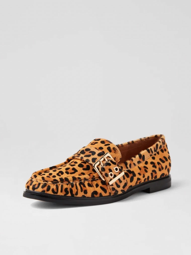 MOLLINI GENNIE BROGUE