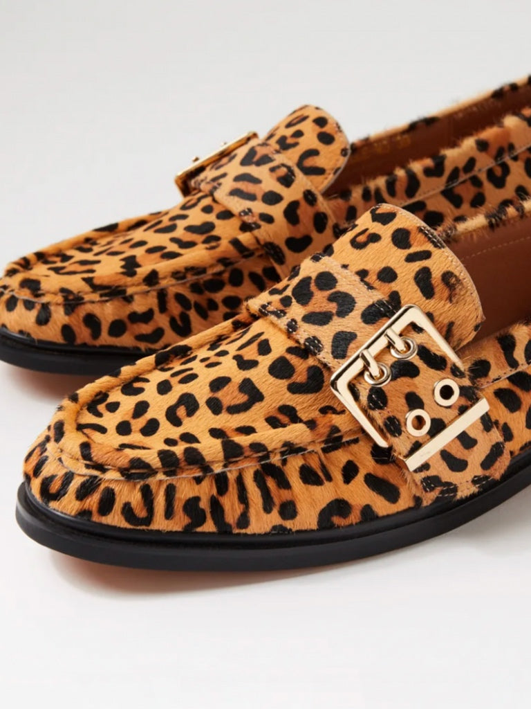 MOLLINI GENNIE BROGUE
