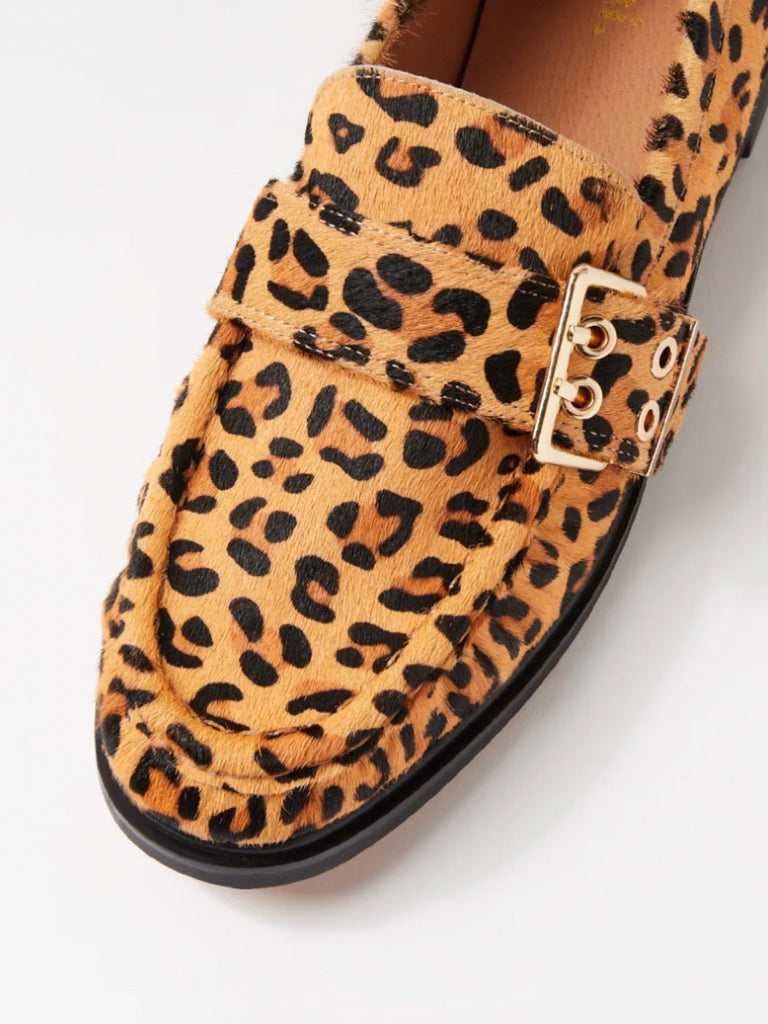 MOLLINI GENNIE BROGUE