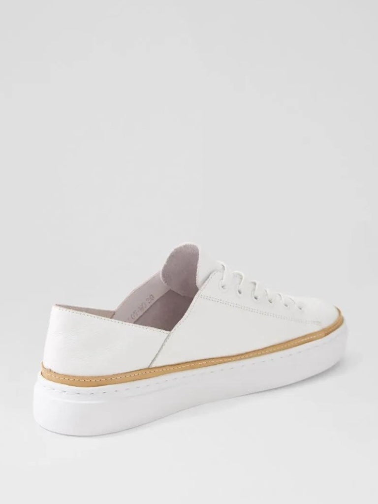 MOLLINI OLLOV SNEAKER